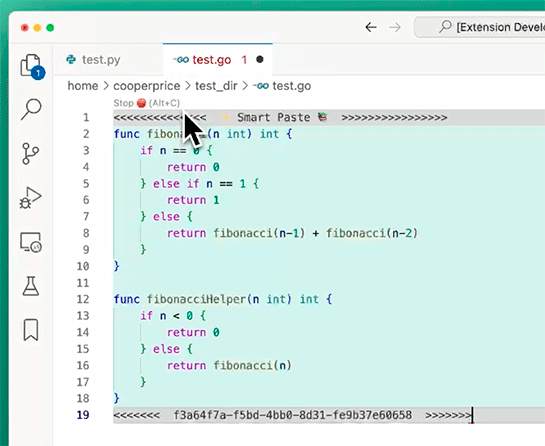 Codeium Smart Paste fig2